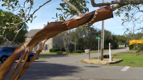 Turkey windsock blowing on a fall day Stock Footage 98215732