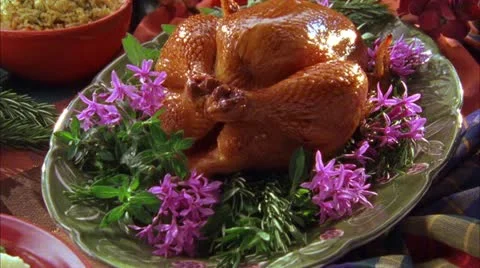 TURKEY_01 Stock Footage 10809243