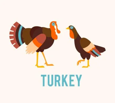 Turkeys in a flat style. Stock Illustration