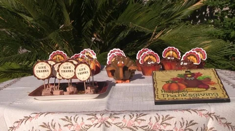Turkey's Thanksgiving Video stock 44020864