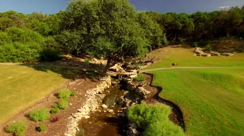 Turkeys Walk Around Stream by Pathway Through Woods by Aerial Drone Stock Footage 67450627