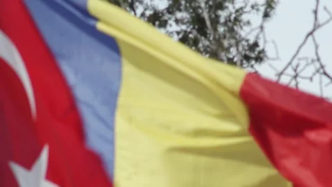 Turkish And Romanian Flags At War Memorial Stock Footage 336222014