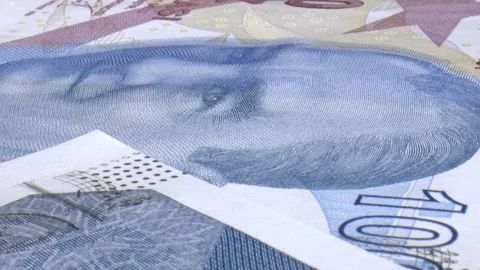 Turkish Banknotes Stock Footage 158586203