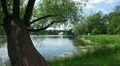 Turkish bath. Pushkin. Catherine Park. Tsarskoye Selo. 4K. 4k or 4k+ Resolution