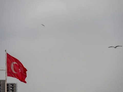 Turkish flag with the building background. Stock Photos