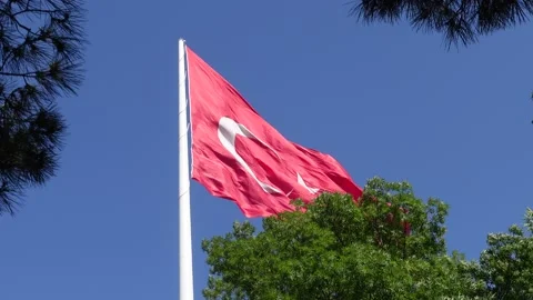 Turkish Flag - The Flag of Turkey Stock Footage 197354766