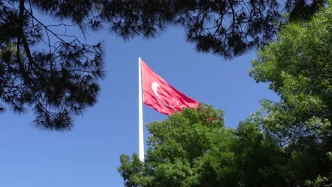 Turkish Flag - The Flag of Turkey Video stock 197355040
