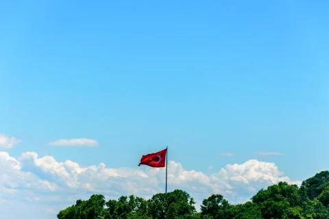 The turkish flag flagging above the trees Stock Photos