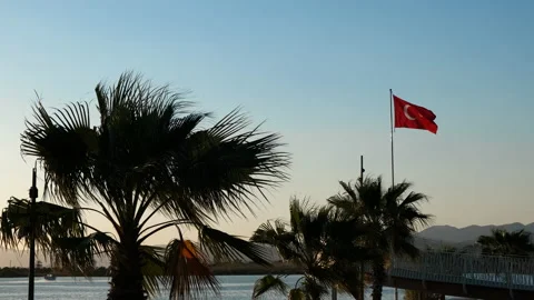 The Turkish flag flutters in the wind. Stock Footage 232959785