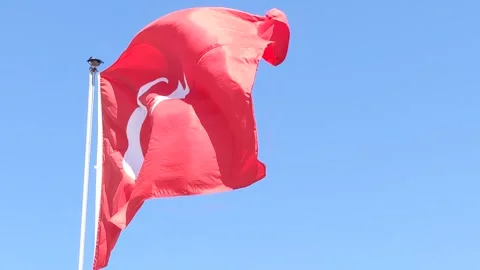 The Turkish flag is flying against the blue sky. Stock Footage 299530245