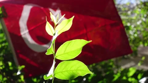 Turkish Flag Video stock 196195180
