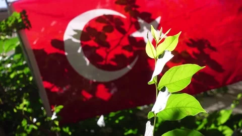 Turkish Flag Video stock 196195458