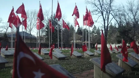 Turkish flag Stock Footage 336222282