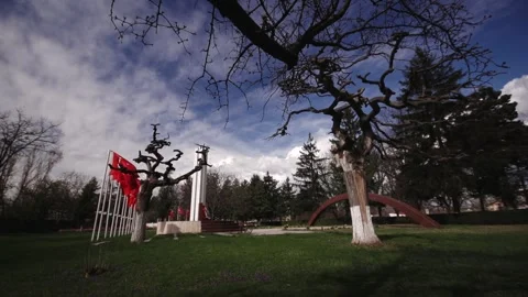 Turkish Flag At Memorial Site Stock Footage 336221424