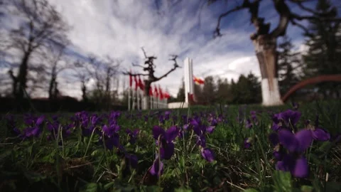 Turkish Flag At Memorial Site Stock Footage 336221536
