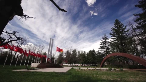 Turkish Flag At Memorial Site Stock Footage 336221569