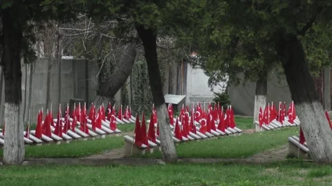 Turkish Flag At Memorial Site Stock Footage 336221990