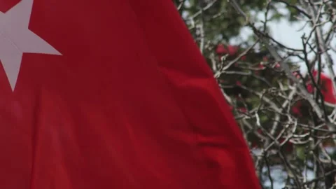 Turkish Flag At Memorial Site Stock Footage 336222052