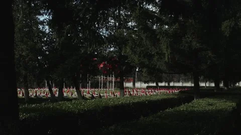 Turkish Flag At Memorial Site Stock Footage 336222232