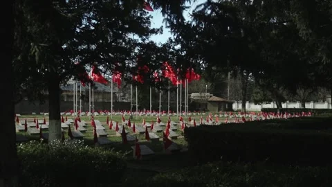 Turkish Flag At Memorial Site Stock Footage 336222258