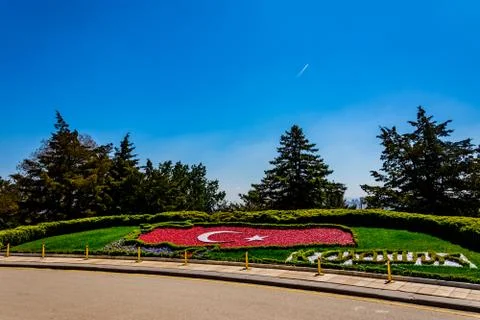 Turkish flag of plants Stock Photos