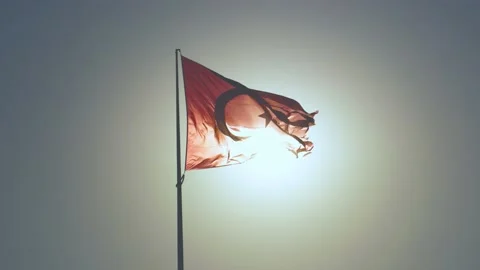 Turkish flag on the pole waving in the background strong sun Stock Footage 138657779