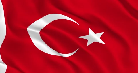 Turkish Flag Seamless Smooth Waving Animation. Symbol of the Turkish Republic Stock-Footage 154573000