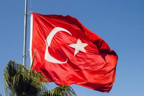 Turkish Flag with tree Stock Photos