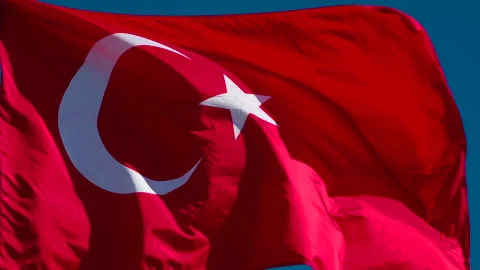 Turkish Flag Waves the Wind HD Pro 30 Stock Footage 111454060