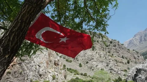 Turkish Flag is waving between trees and mountain on blue sky windy background. Stock Footage 158190946