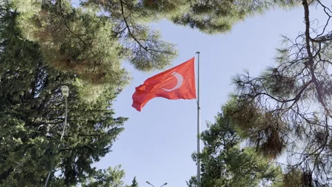 Turkish flag waving in the sky surrounded by trees. Stock Footage 246430674