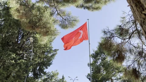 Turkish flag waving in the sky surrounded by trees. Stock Footage 246430831
