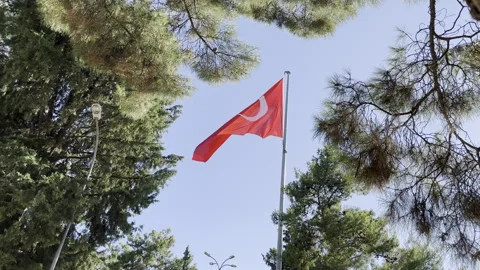 Turkish flag waving in the sky surrounded by trees. Su light. Stock Footage 246434521