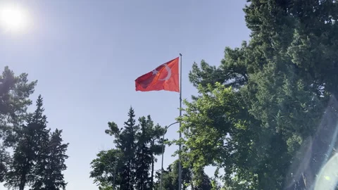 Turkish flag waving in the sky. The trees in the back. Stock Footage 246428503