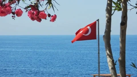 Turkish flag waving in the wind Stock Footage 155204202