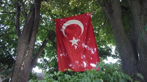 Turkish flag waving in the wind in a public park Stock Footage 207117322