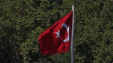 Turkish flag in the wind Stock Footage 93963703
