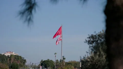 Turkish flags Stock Footage 227016738