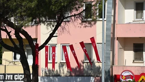 Turkish flags gracefully fluttering in the breeze from a tree branch Vídeo Stock 307641818