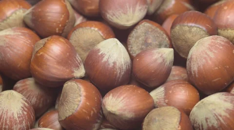 Turkish hazelnuts Video stock 39413942