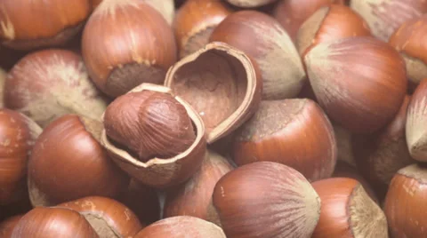 Turkish hazelnuts rotating Video stock 39736586