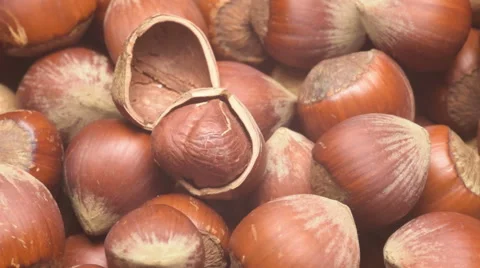 Turkish hazelnuts rotating Stock Footage 39960108