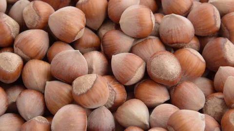 Turkish hazelnuts rotating Video stock 54111510