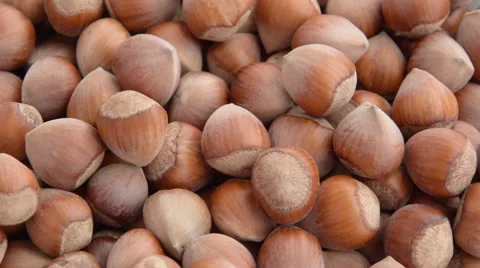 Turkish hazelnuts rotating Video stock 54111621