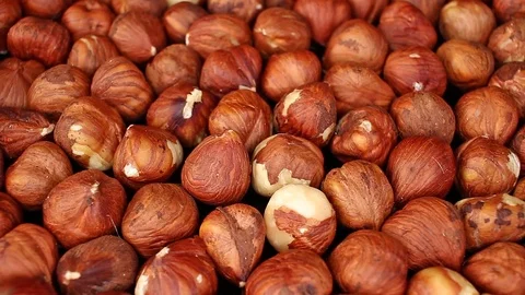 Turkish hazelnuts on rotating plate hazelnut texture Stock Footage 98389738