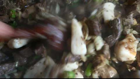 Turkish kebab Stock Footage 10772744