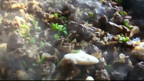 Turkish kebab Stock Footage 10772828