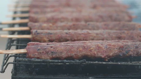 Turkish Kebab On The Grill Stock Footage 153879349
