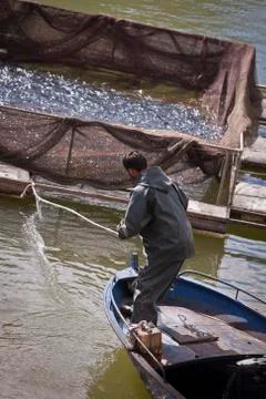 Turkish Man Pulling in Fish at Toros Mountains Stock Photos