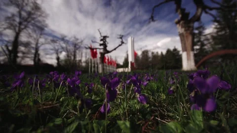 Turkish Martyrs Memorial Stock Footage 336221465